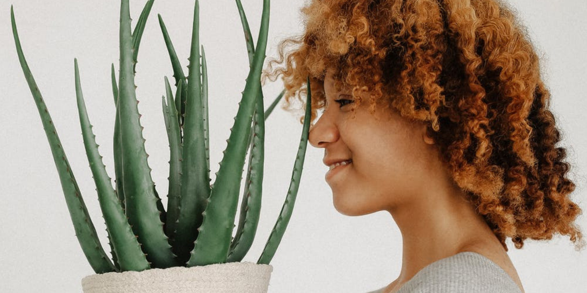 Using Aloe Vera for Oral Health xoNecole Women's Interest, Love