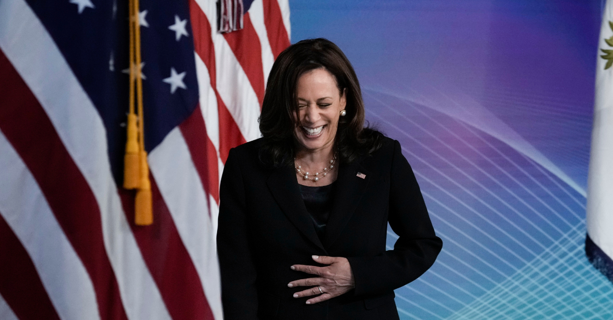 Conservatives Melt Down After VP Kamala Harris Delivers Cookies Decorated To Look Like Her To Press