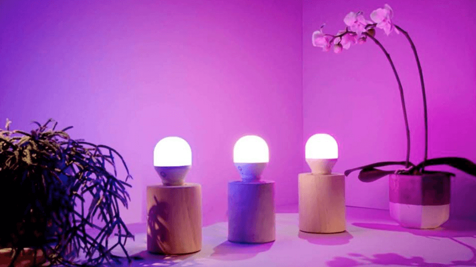 How to reset LIFX smart light bulbs when you've move away - Gearbrain