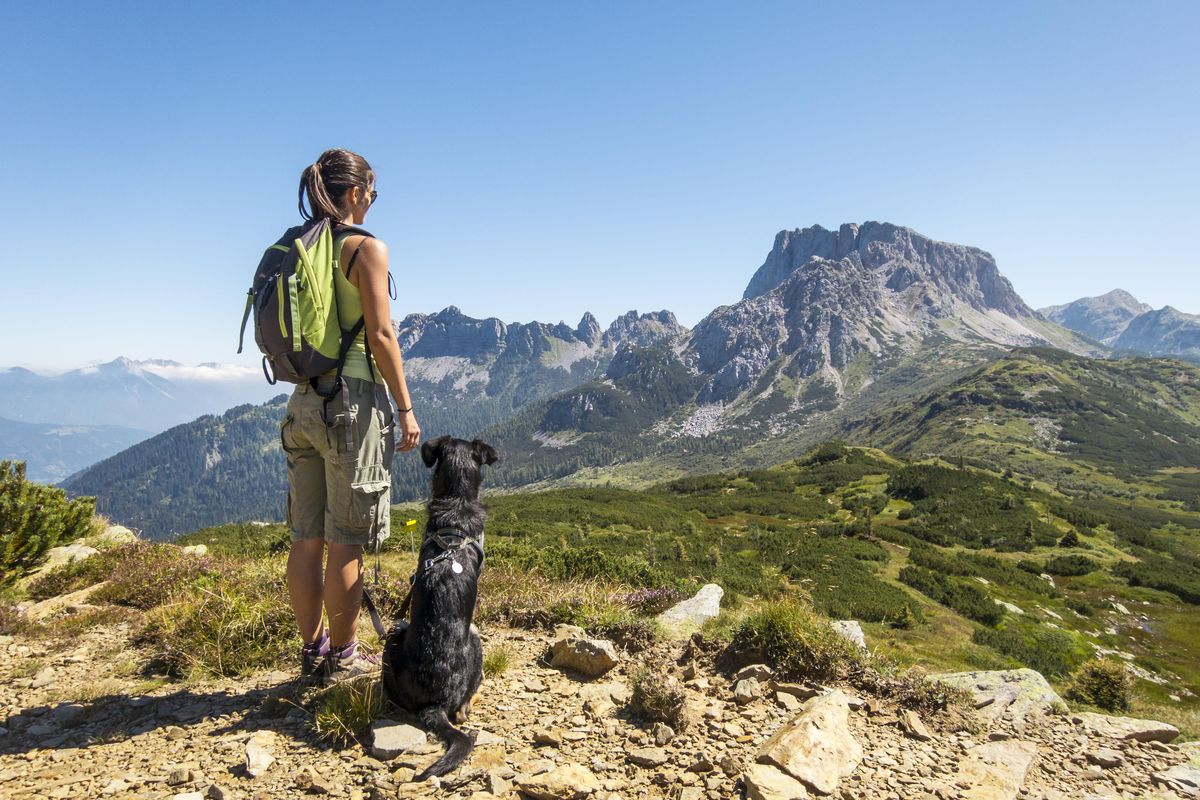Il dog trekking, uno sport per affinare il rapporto cane-padrone