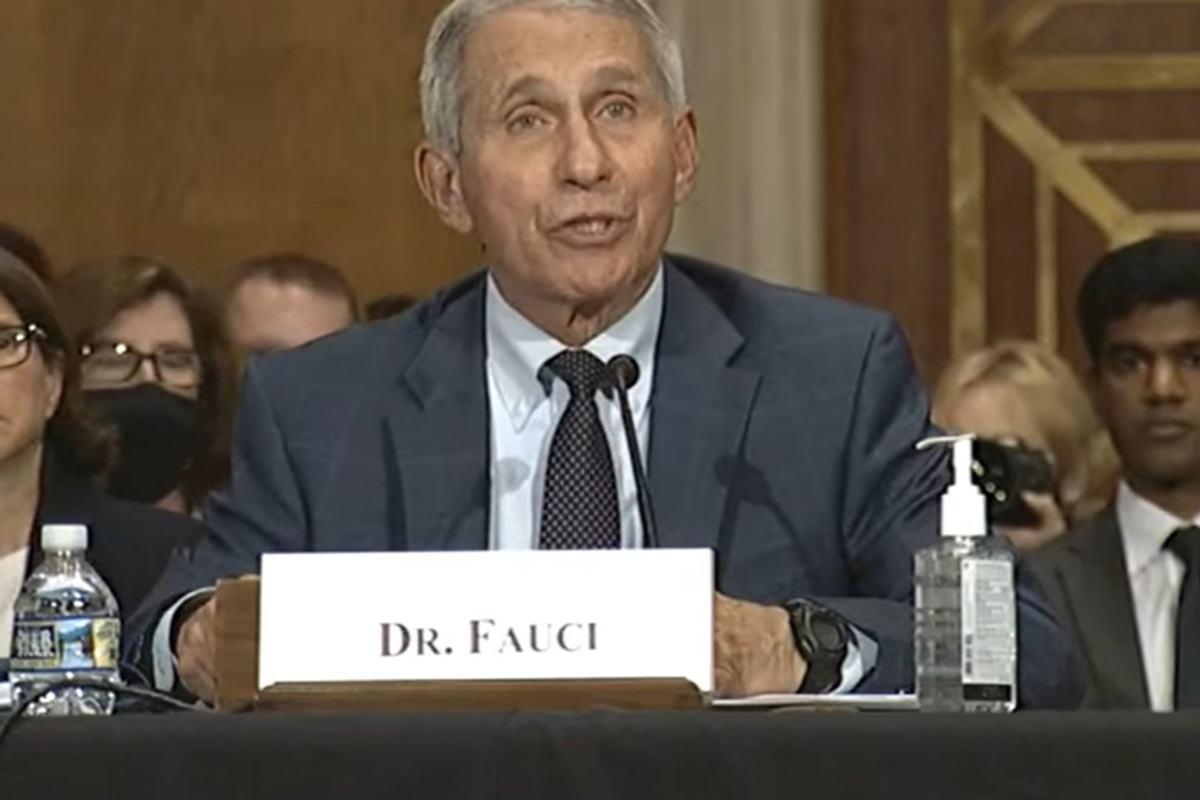 Lauren Boebert Not Gonna Let Dr. Fauci Retire Peacefully When She Has This Here Headless Pike