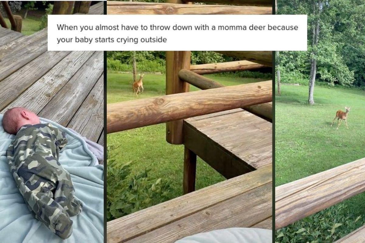 Mama deer came bounding into a yard when she heard a 5-week-old human baby crying