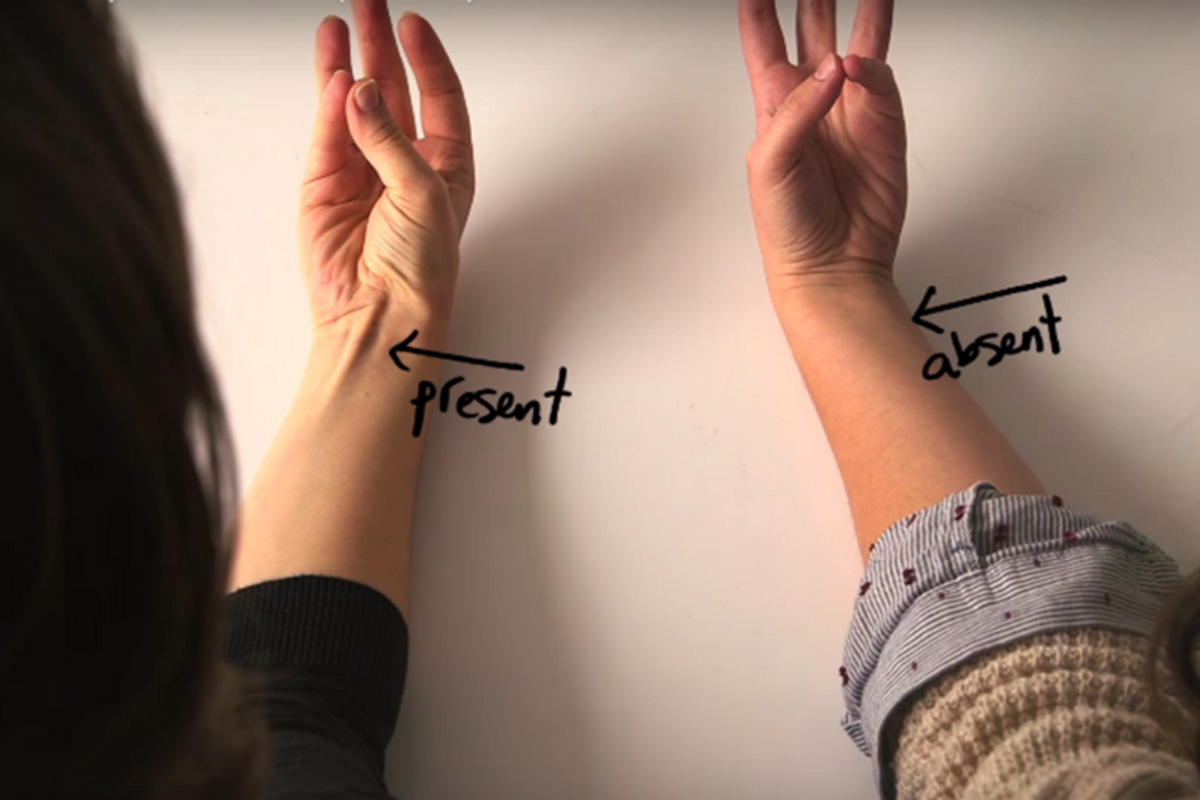 Viral video shows how to find your vestigial organs