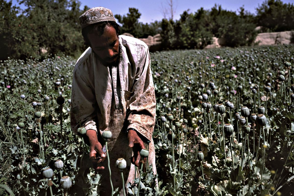 finanza talenabi afghanistan oro droga miniere