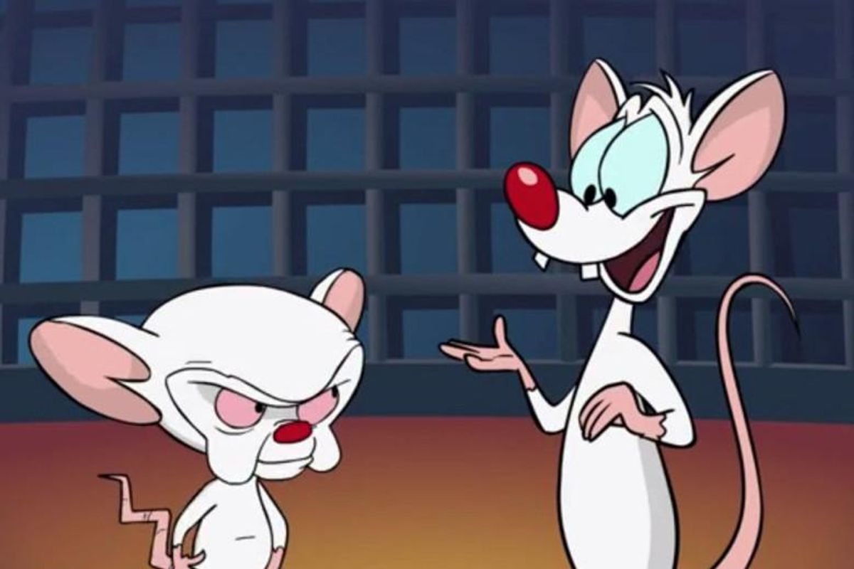 Pinky and The Brain