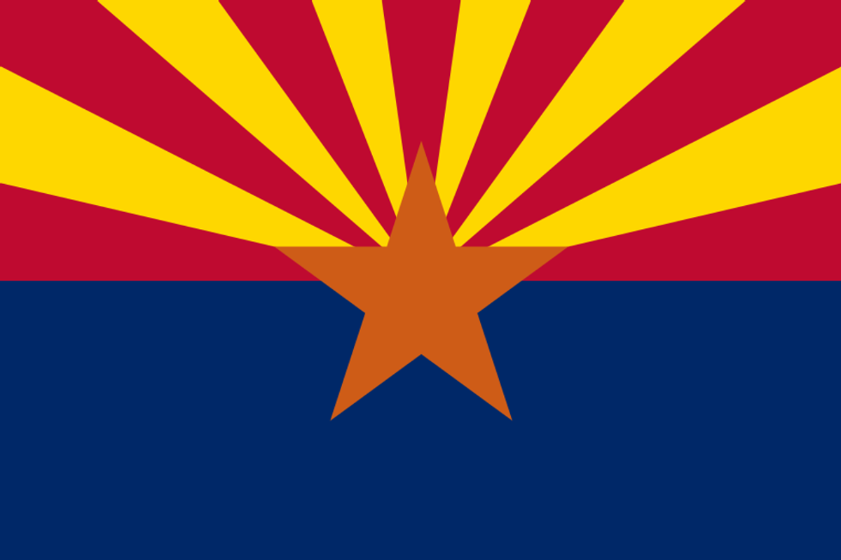 Arizona Fraudit Ninjas Search For Fraud, Find COVID