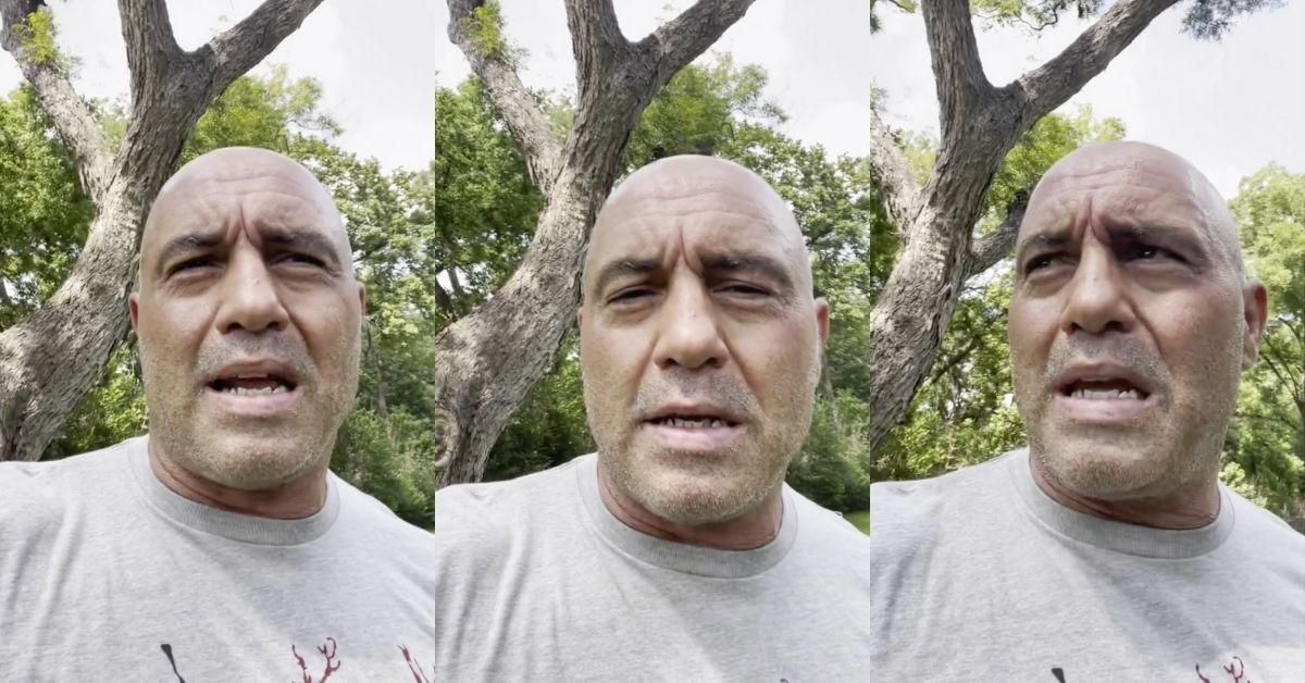 Joe Rogan Ripped For Taking Horse Deworming Meds After Contracting Virus On The Road