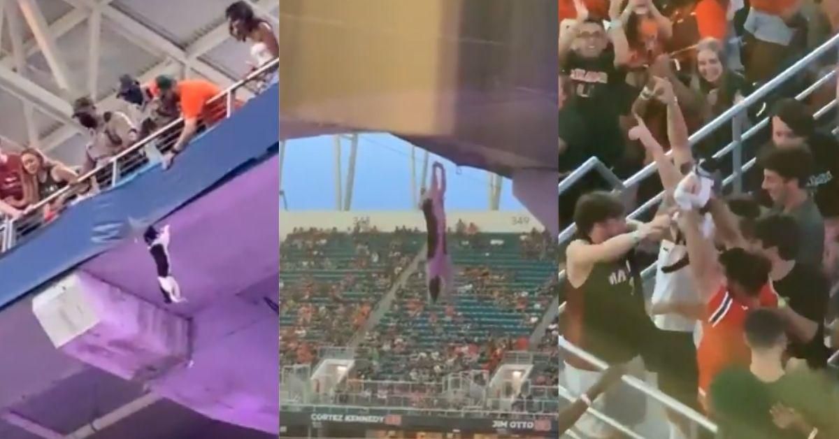 Stressful Video Of Cat Falling From Ledge And Getting Caught By Football Fans Divides The Internet