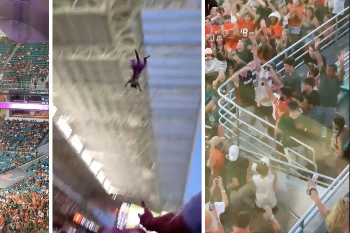 College football fans used an American flag to save a cat dangling from stadium upper deck