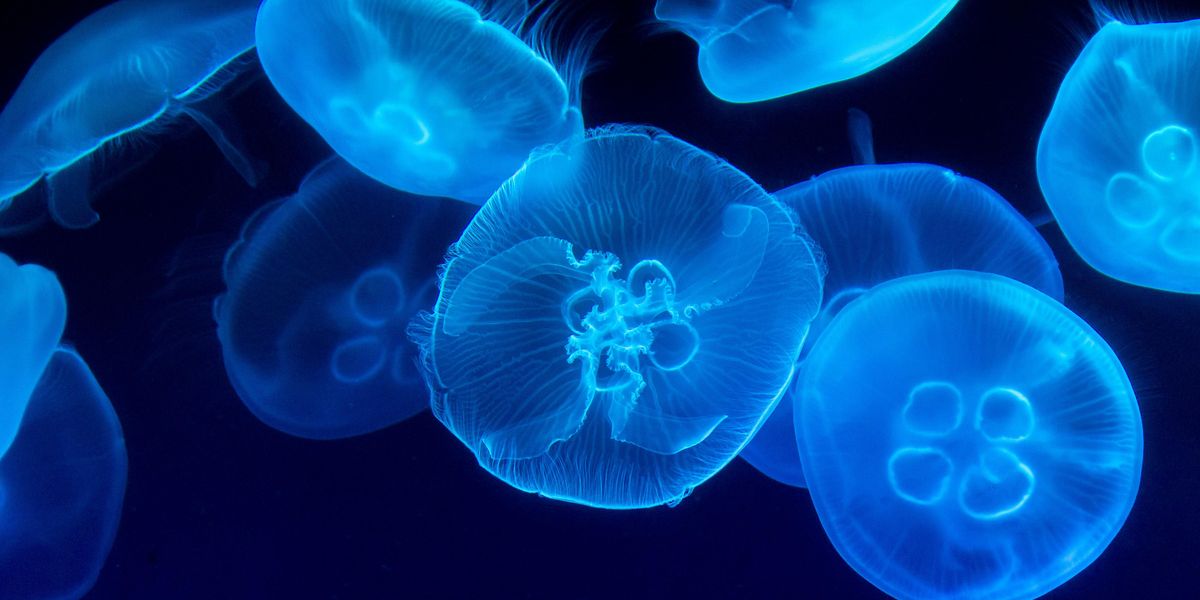 People Break Down Which Things Are Far Deadlier Than People May Think
