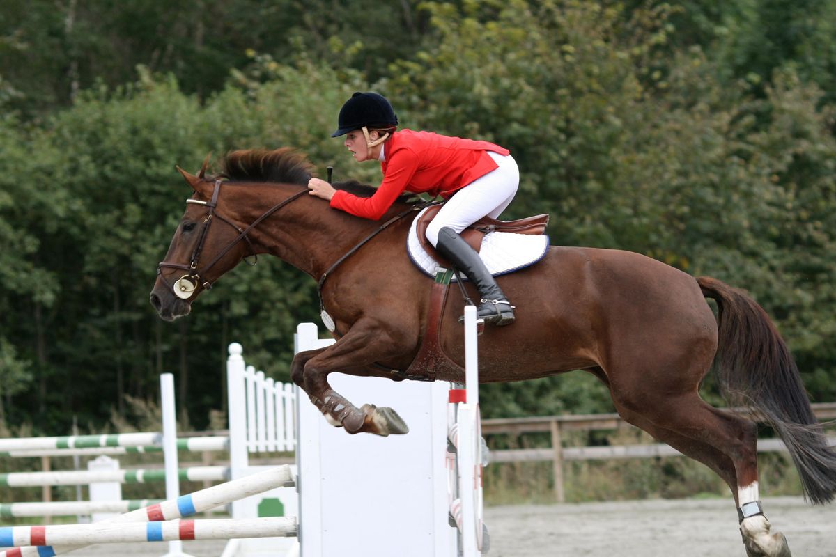 Tirano gli sport equestri: 25% in più di cavalli e fantini rispetto al 2020