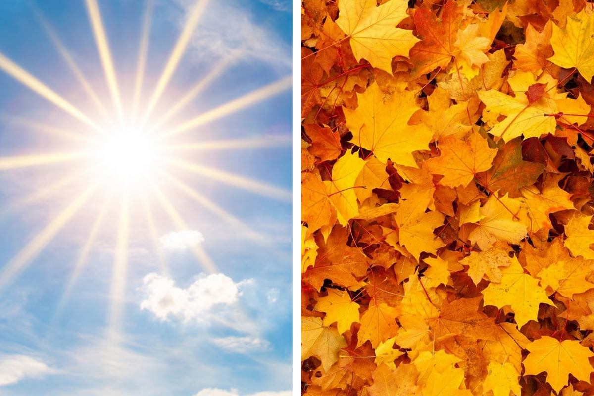 Hottest day of the year expected Monday followed by first fall cold front later in week