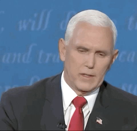 Mike Pence Brags To Hungarian Fascist Pals About Births American Fascists About To Force