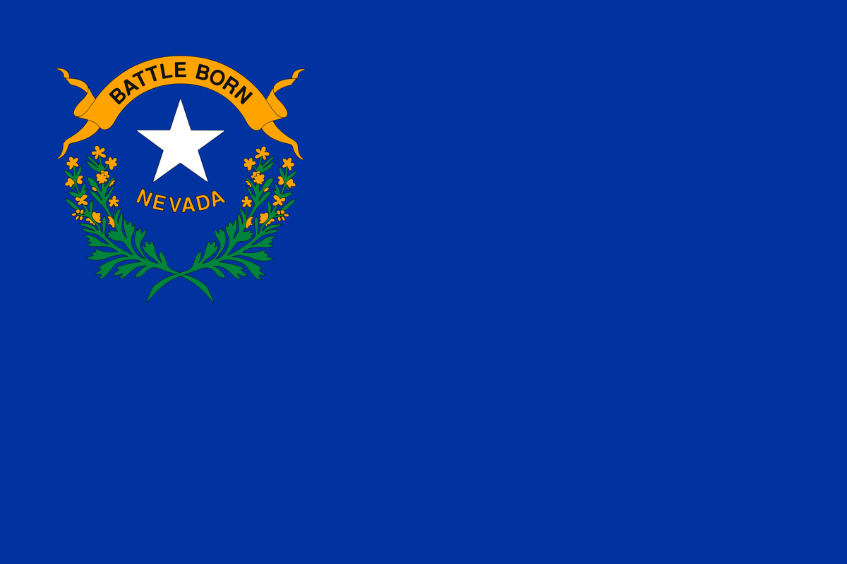 Are The Nevada Republicans Okay? Do They Need A Police Man Or A Grownup?