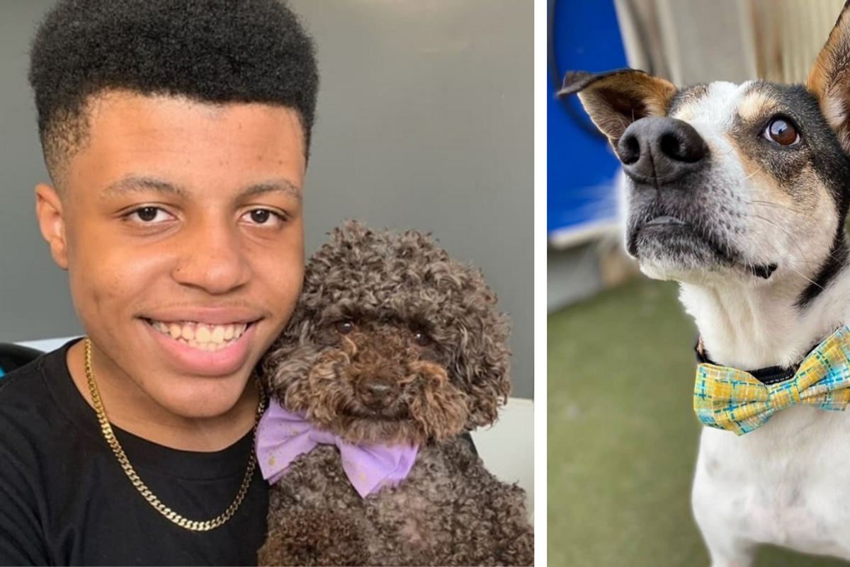 14-year-old makes and donates bow ties to help shelter animals find their forever homes
