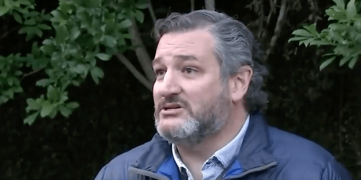 Lawyers Seek Disbarment Probe Of Ted Cruz Over 'Leading Role' In Trump Coup - Vimarsana News