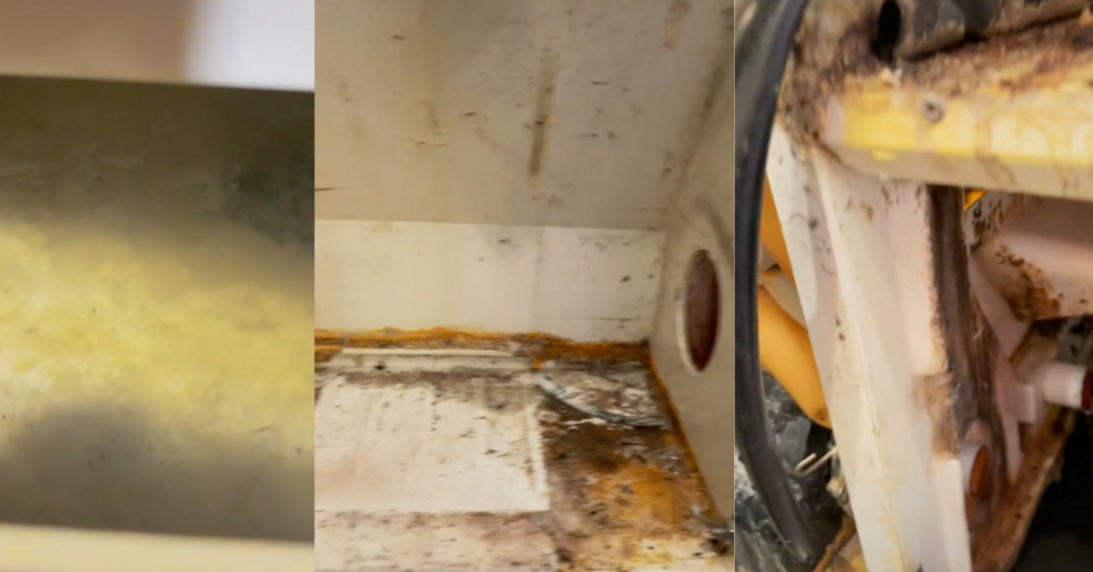 Technician Films Eye-Opening Video Showing Just How Dirty Restaurant Ice Machines Actually Are