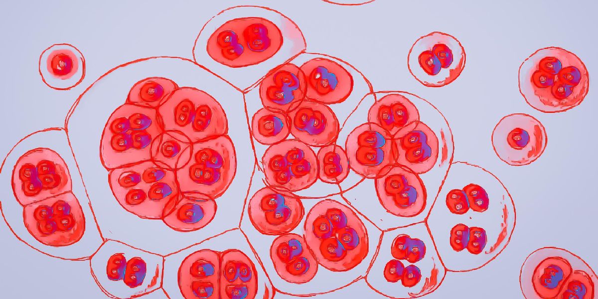 What Does the Future of HIV Prevention Look Like?