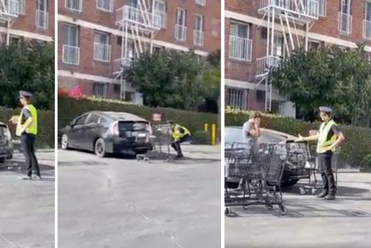 prank, shopping cart
