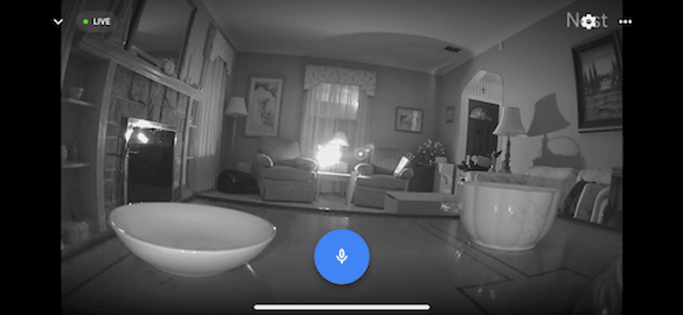 Night Vision video in Google Home app sowing LED lights from other security cameras.