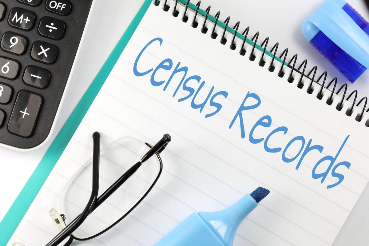 How Many Ways Did The Stable Genius Bone The Census? All The Ways.