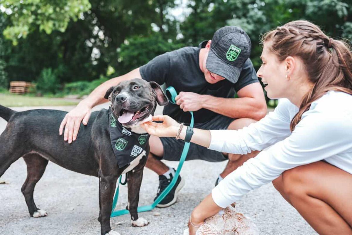 Austin FC's 'mascots' find forever homes with Austin Pets Alive! program