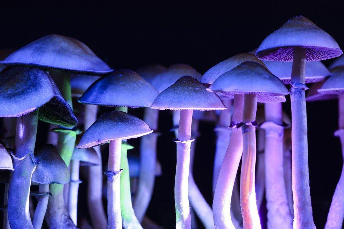 New Dell Medical School center studying use of psychedelics for mental health