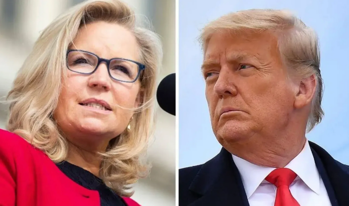 Rep. Liz Cheney Just Fired a Legal Warning Shot Over Trump’s Head