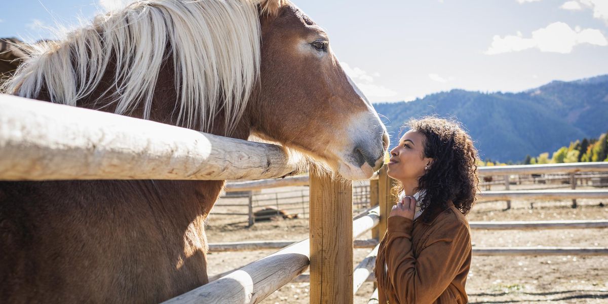 I Tried Horse Therapy And It Changed My Life