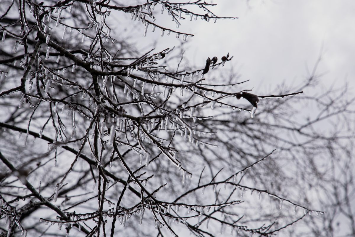 New Year, new weather: Temperatures dropping to 30 degrees in first freeze of the season