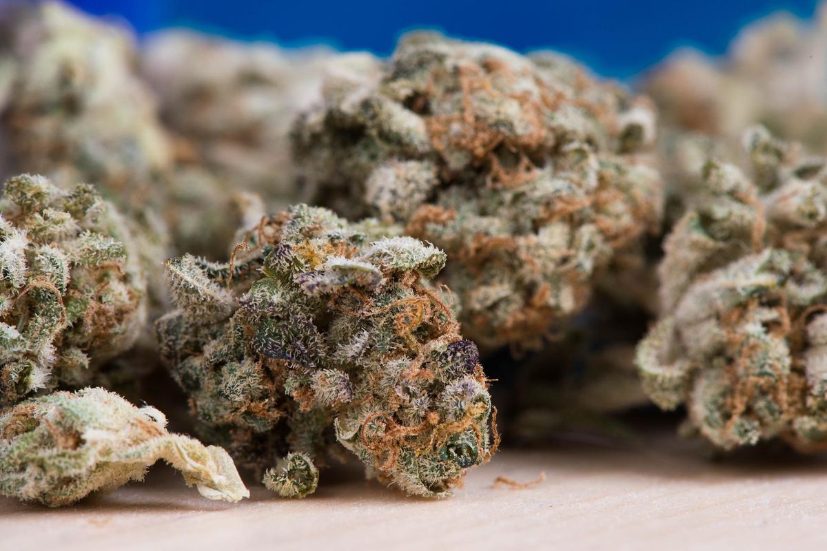 Austin voters could officially decriminalize marijuana in May election