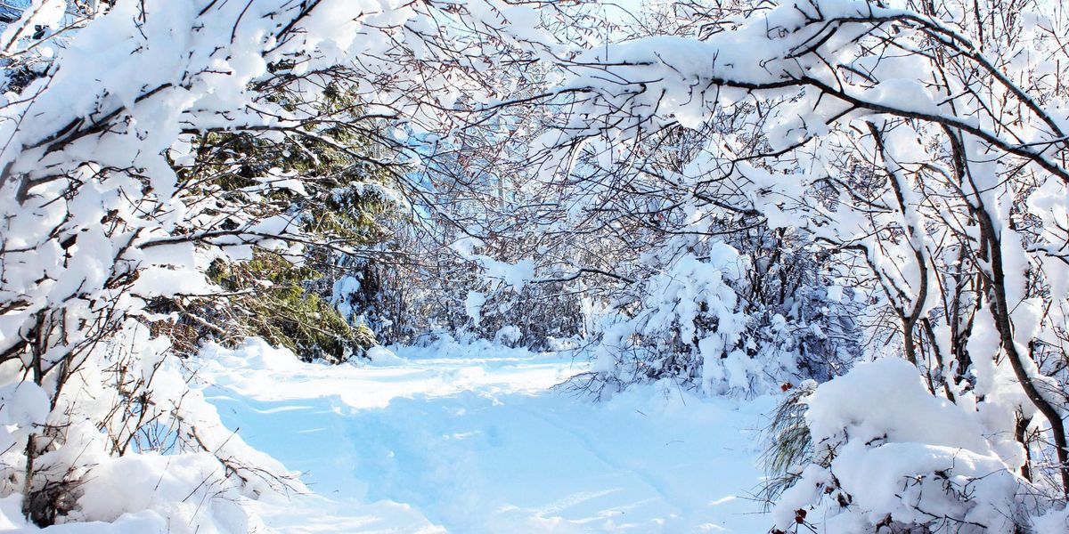 People Break Down All The Reasons They Think Winter Is A Wonderland