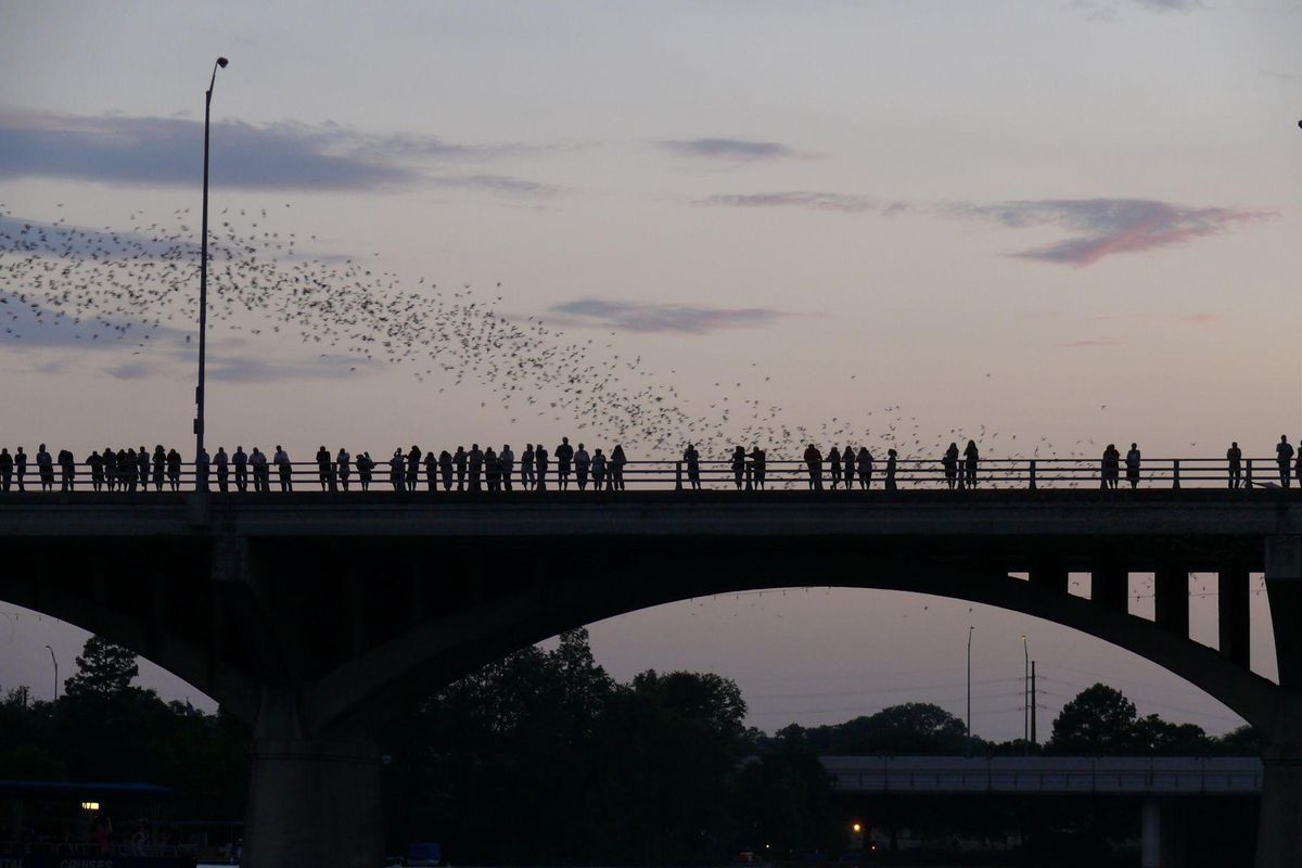 Temporary relocation or permanent stay? Californians consider their future in Austin