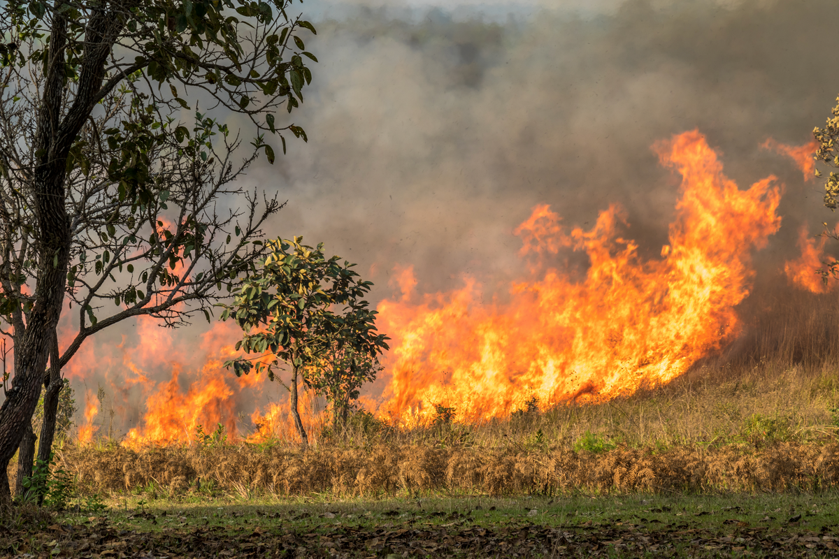 UPDATE: Evacuations lifted as Bastrop fire hits 70% containment