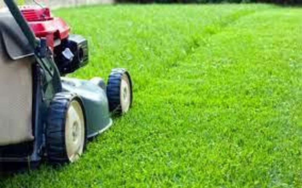 What ought you to know about Lawn Care?
