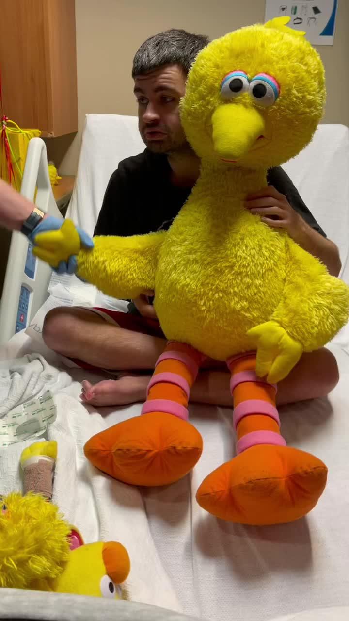 giant stuffed big bird