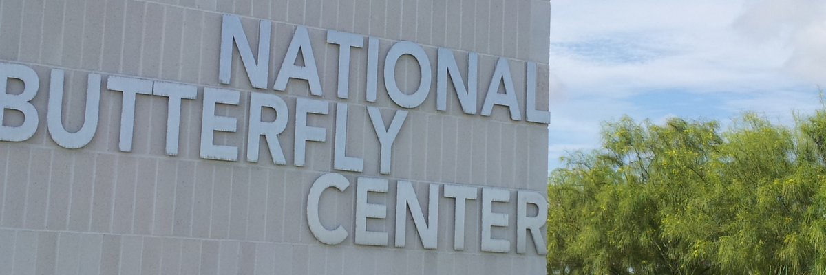 Image of National Butterfly Center 