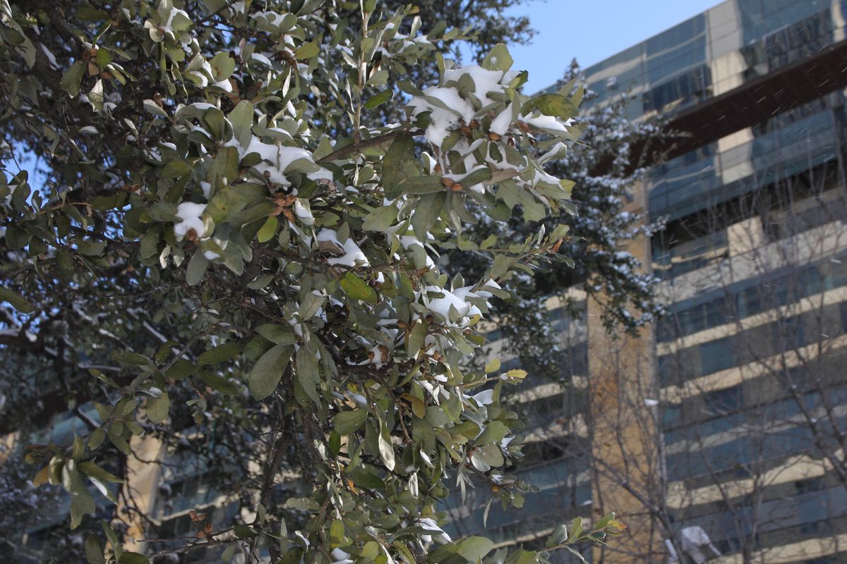 Arctic cold front incoming: Here's how to beat the freezing temperatures this week