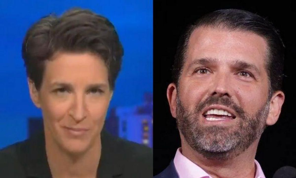 Don Jr. Tried to Shame Rachel Maddow for Taking a Hiatus From MSNBC—and Her Response Was Everything