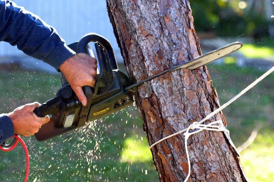 What Kind of Oil Do Electric Chain Saws Use?