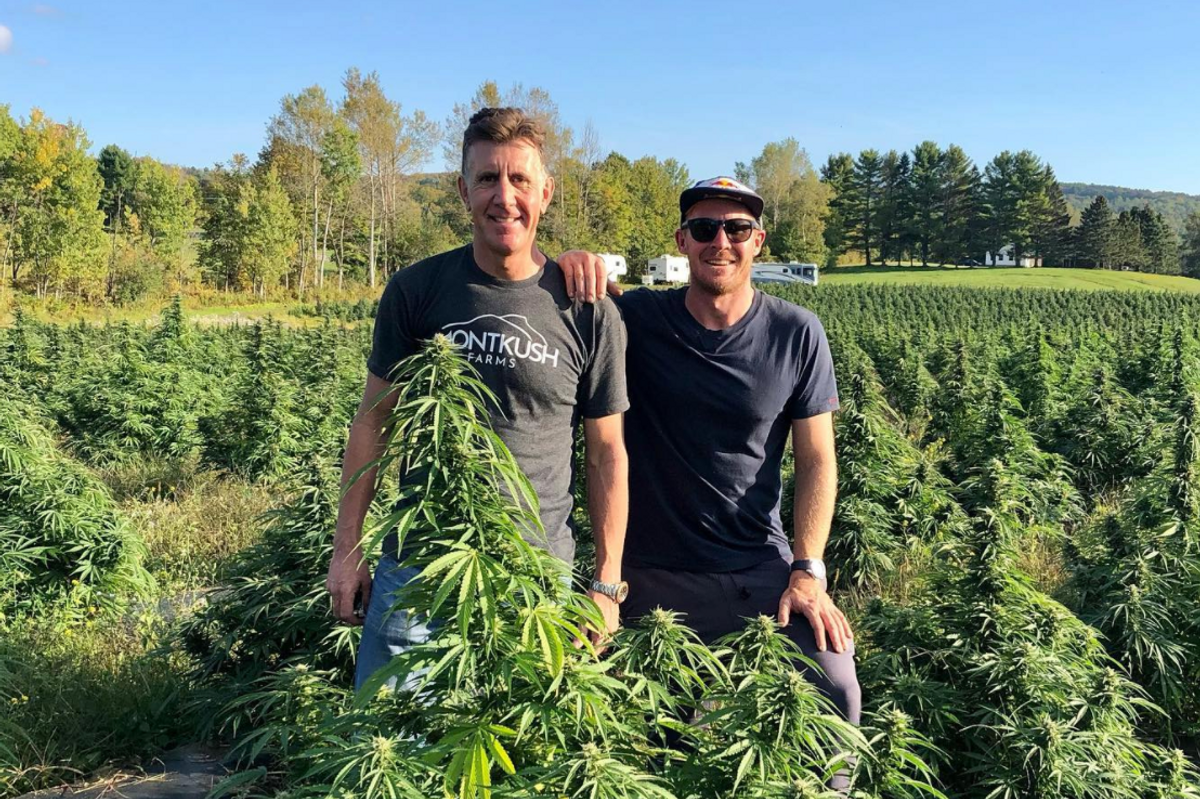 OxiClean spokesman-turned-CBD farmer hopes his crops can cure chronic ailments, COVID
