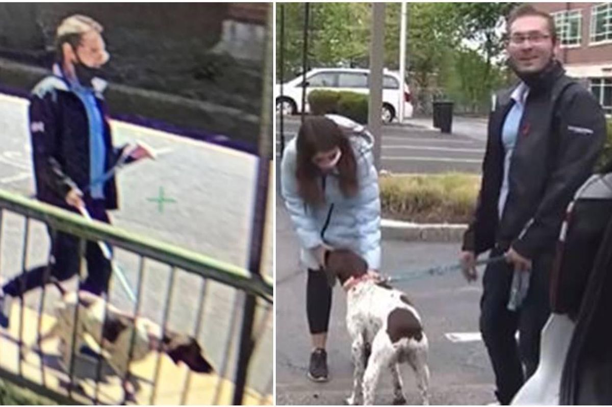 dog thief, reporter catches thief, juliana mazza