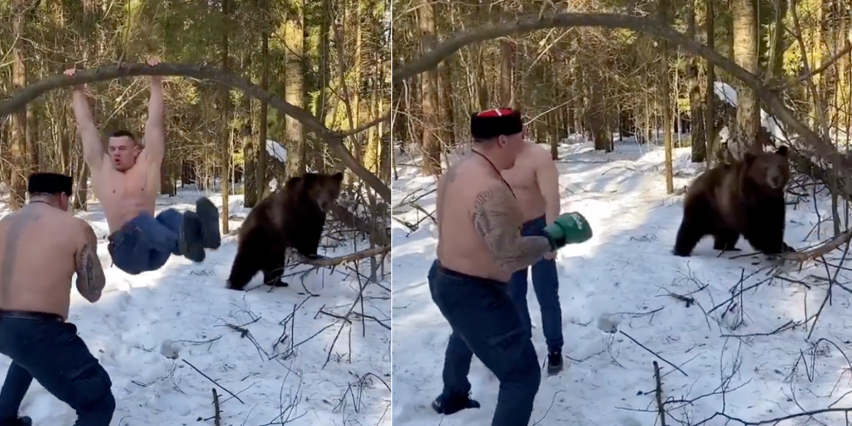 Shirtless Men Work Out In Woods With Bear In Puzzling Viral Video