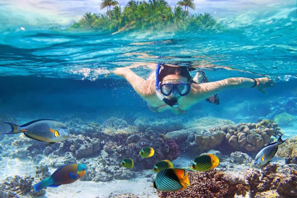 5 Best Snorkeling Spots in Isla Mujeres