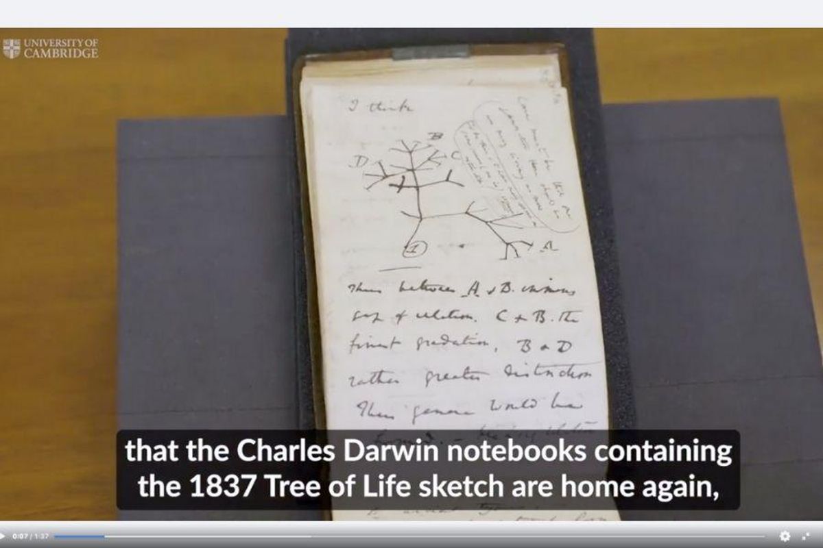 darwin, cambridge, history