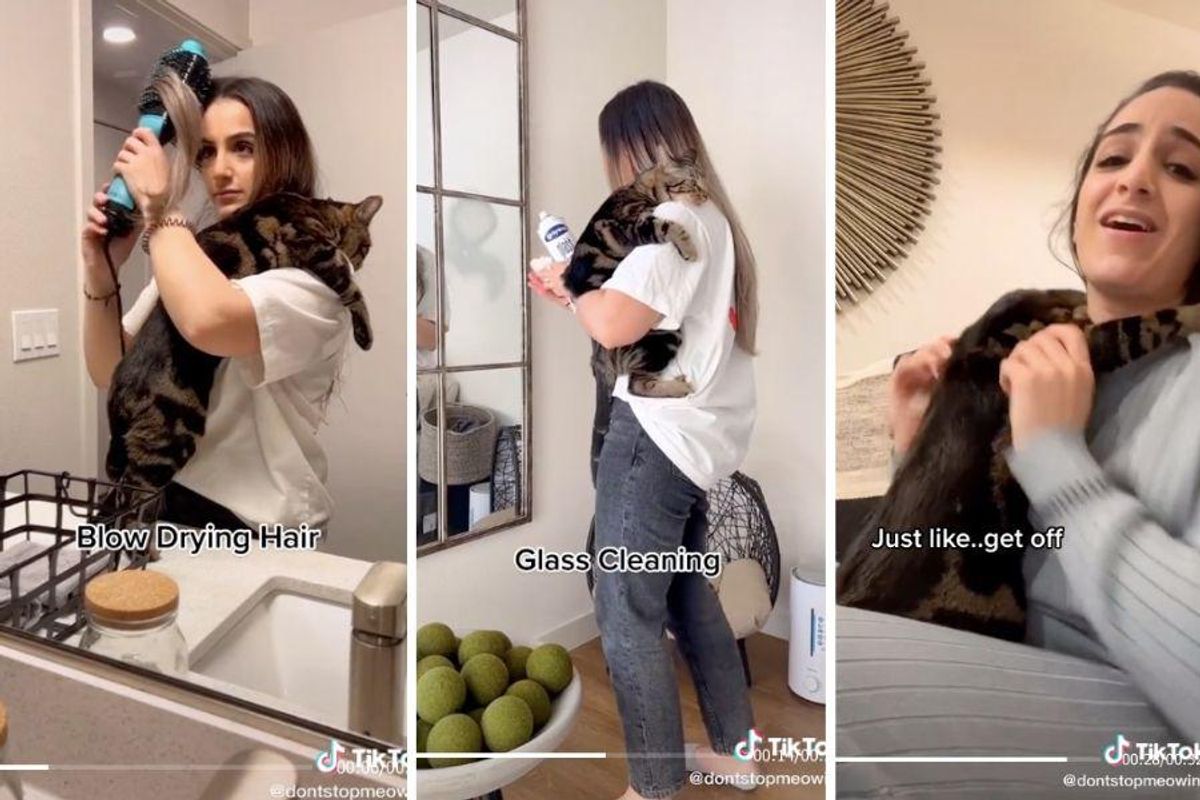 This couple has the clingiest cat on Earth and people can't get enough of his cute demands