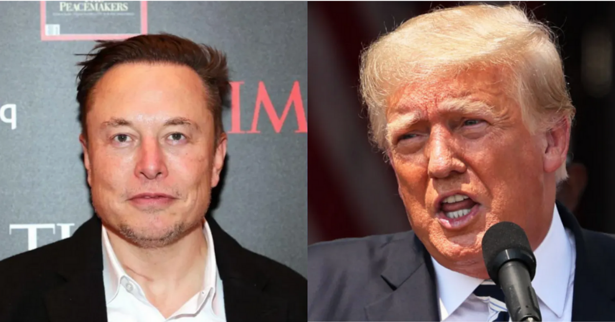 MAGA Fans Urge Elon Musk To Reinstate Trump's Twitter Account - Comic Sands