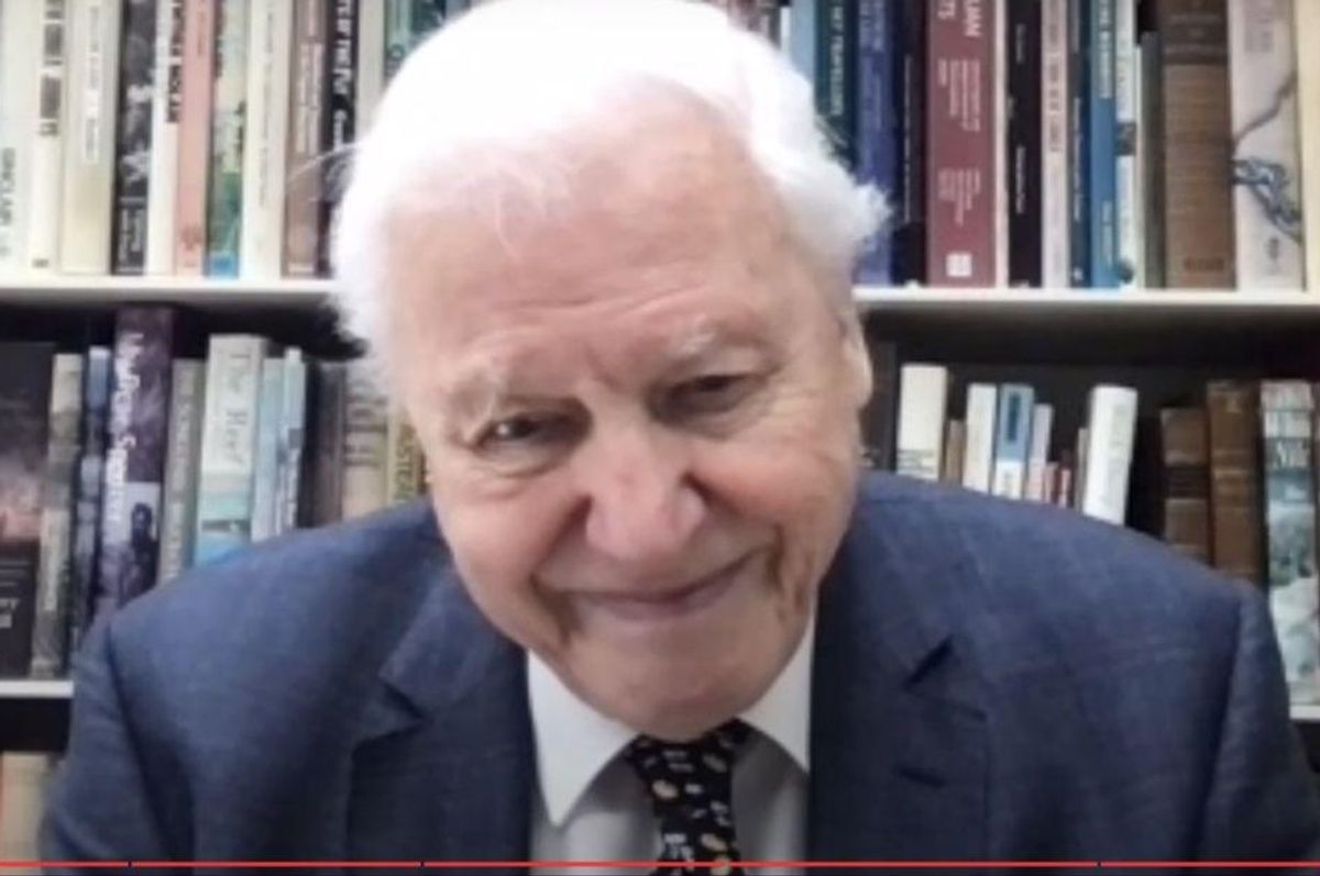 David Attenborough's remarks after receiving lifetime Champion of the Earth award are a must-watch