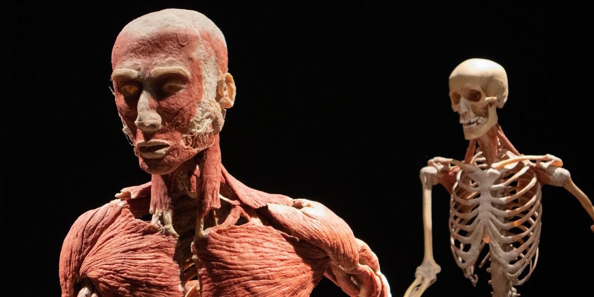 People Break Down The Most Disturbing Facts About The Human Body