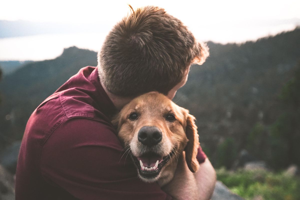 rehab; opioid epidemic; pets;